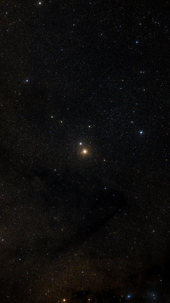 Le ciel autour de Anser, cadré au champ de Seestar S30 Pro