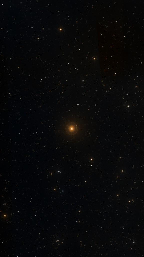 Le ciel autour de Felis, cadré au champ de Seestar S30 Pro