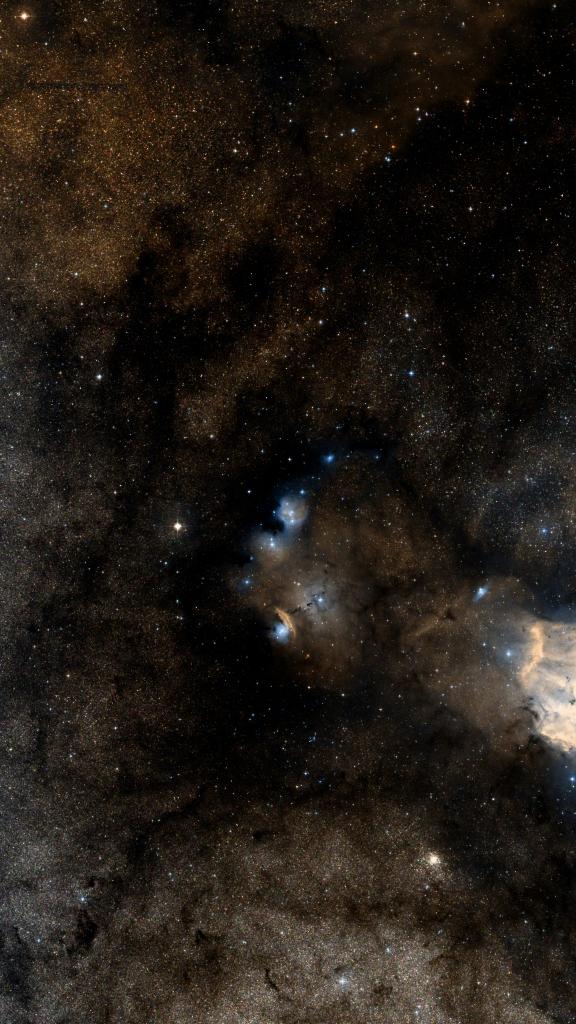 Le ciel autour de IC 1274, cadré au champ de Seestar S30 Pro