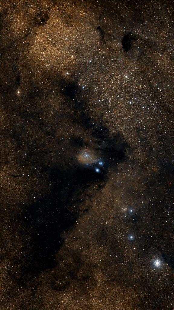 Le ciel autour de IC 1284, cadré au champ de Seestar S30 Pro