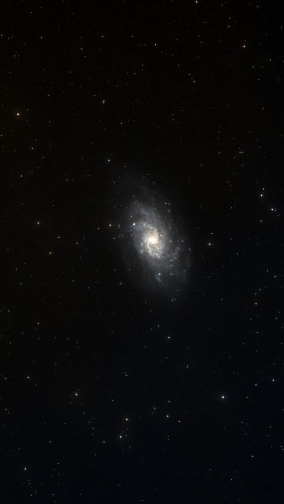 Le ciel autour de IC 136, cadré au champ de Seestar S30 Pro