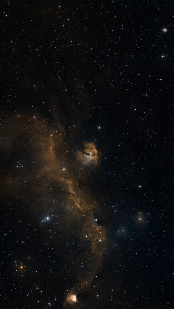 Le ciel autour de IC 2177, cadré au champ de Seestar S30 Pro