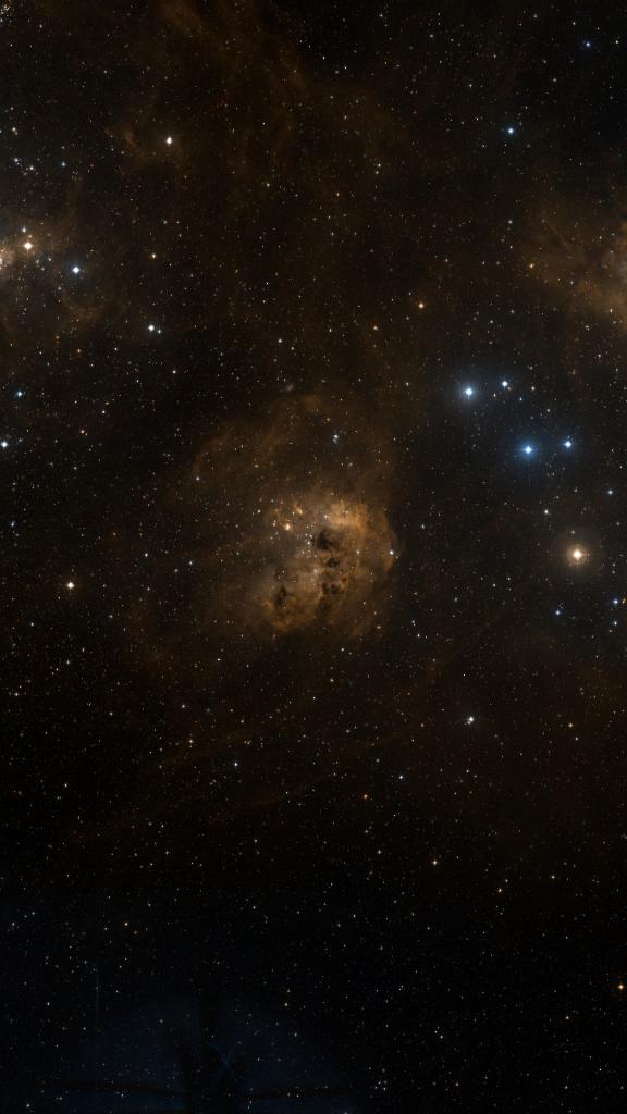 Le ciel autour de IC 410, cadré au champ de Seestar S30 Pro