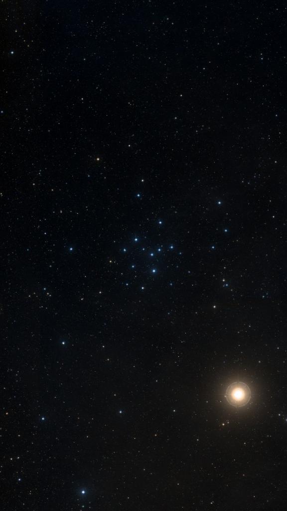 Le ciel autour de IC 4665, cadré au champ de Seestar S30 Pro
