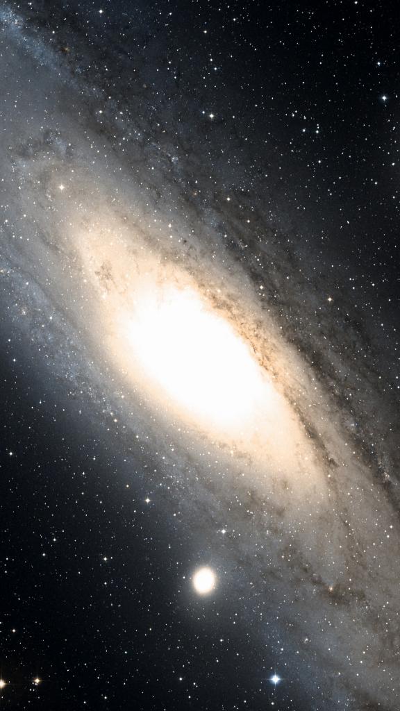 M 31 cadré au champ du Seestar S50