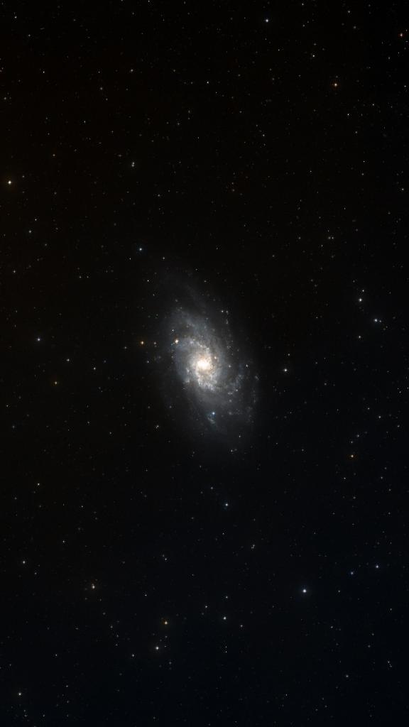 M 33