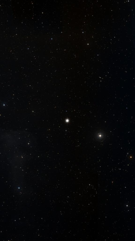 Le ciel autour de M 79, cadré au champ de Seestar S30 Pro