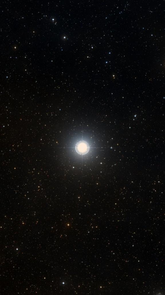 Le ciel autour de Mirzam, cadré au champ de Seestar S30 Pro