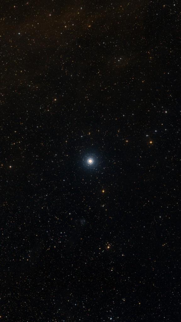 Le ciel autour de Muliphein, cadré au champ de Seestar S30 Pro
