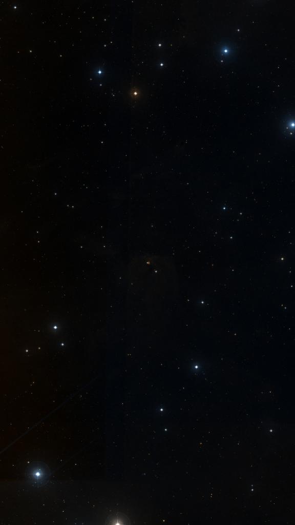 Le ciel autour de NGC 1555, cadré au champ de Seestar S30 Pro