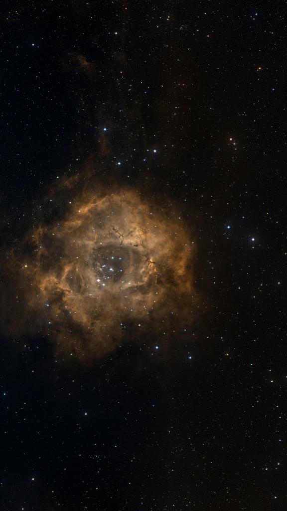 Le ciel autour de NGC 2237, cadré au champ de Seestar S30 Pro