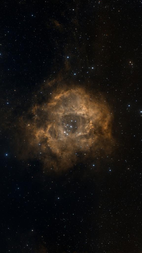Le ciel autour de NGC 2239, cadré au champ de Seestar S30 Pro