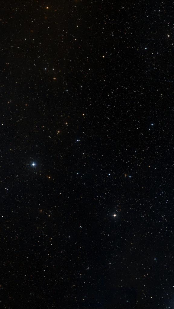 Le ciel autour de NGC 2250, cadré au champ de Seestar S30 Pro