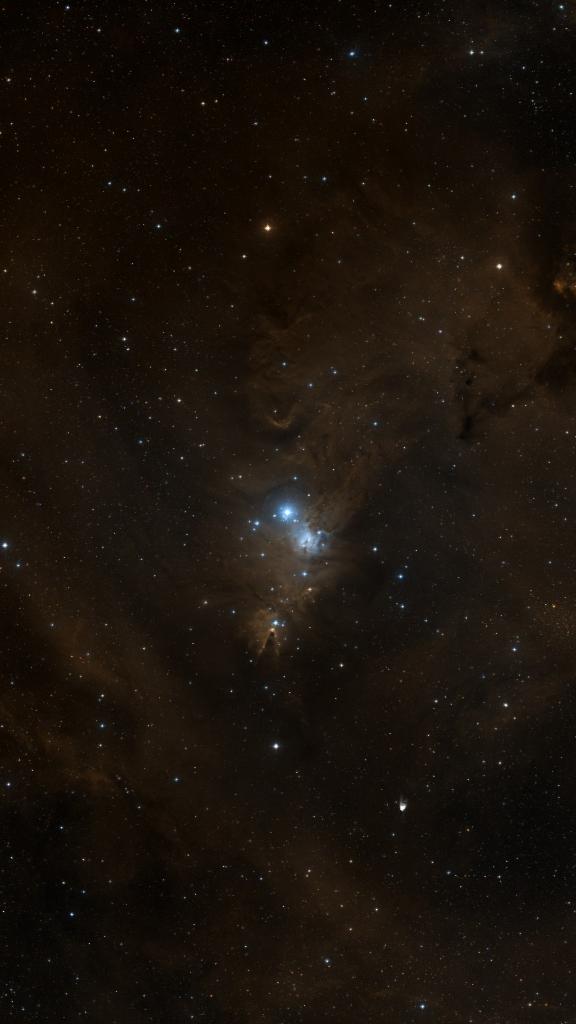 Le ciel autour de NGC 2264, cadré au champ de Seestar S30 Pro