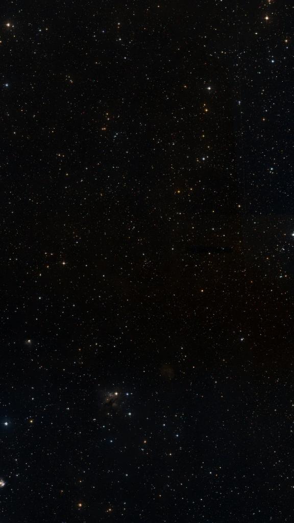 Le ciel autour de NGC 2309, cadré au champ de Seestar S30 Pro