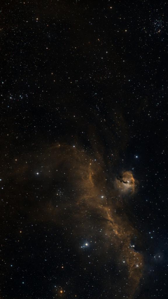 Le ciel autour de NGC 2335, cadré au champ de Seestar S30 Pro