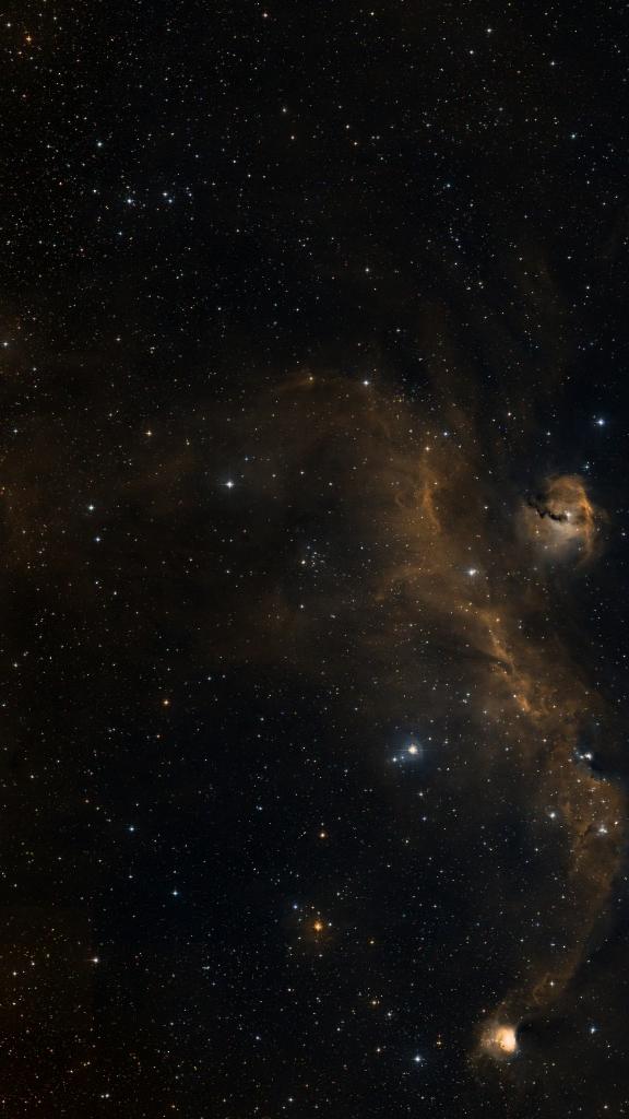 Le ciel autour de NGC 2343, cadré au champ de Seestar S30 Pro