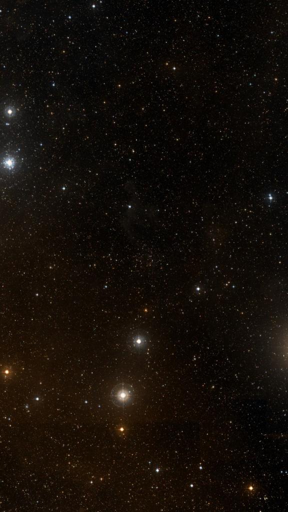 Le ciel autour de NGC 2354, cadré au champ de Seestar S30 Pro