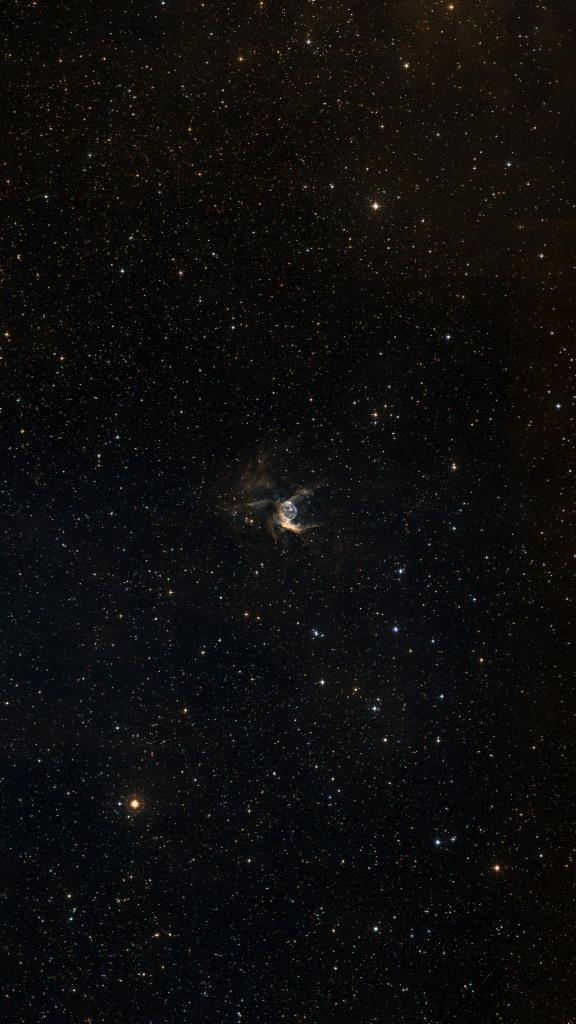 Le ciel autour de NGC 2359, cadré au champ de Seestar S30 Pro