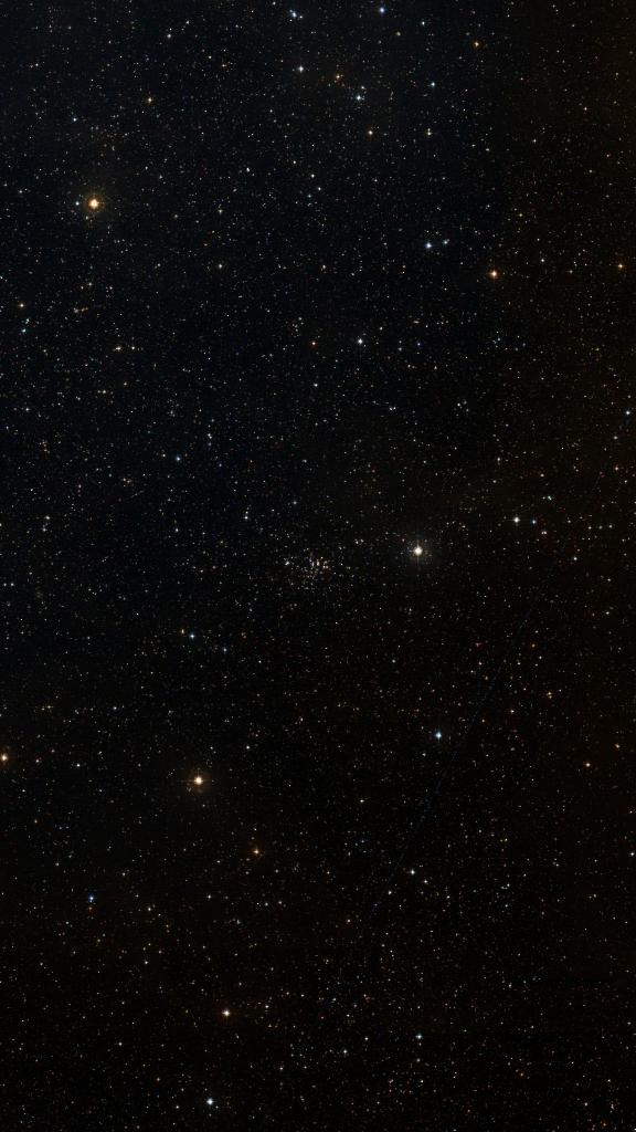 Le ciel autour de NGC 2360, cadré au champ de Seestar S30 Pro