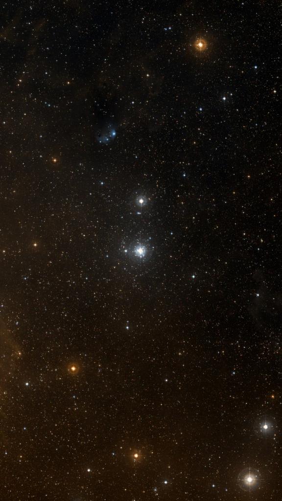Le ciel autour de NGC 2362, cadré au champ de Seestar S30 Pro