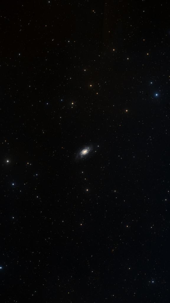 Le ciel autour de NGC 2403, cadré au champ de Seestar S30 Pro