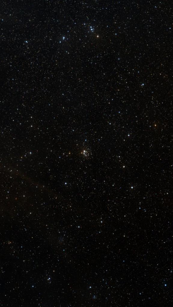 Le ciel autour de NGC 2439, cadré au champ de Seestar S30 Pro