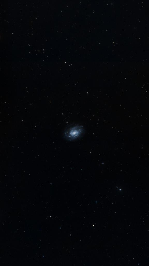 Le ciel autour de NGC 300, cadré au champ de Seestar S30 Pro