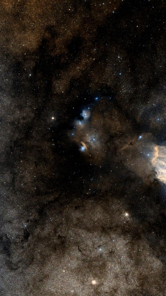 Le ciel autour de NGC 6559, cadré au champ de Seestar S30 Pro