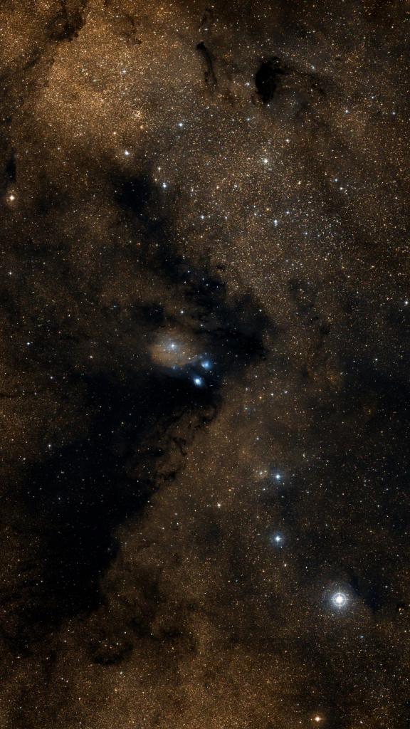 Le ciel autour de NGC 6589, cadré au champ de Seestar S30 Pro