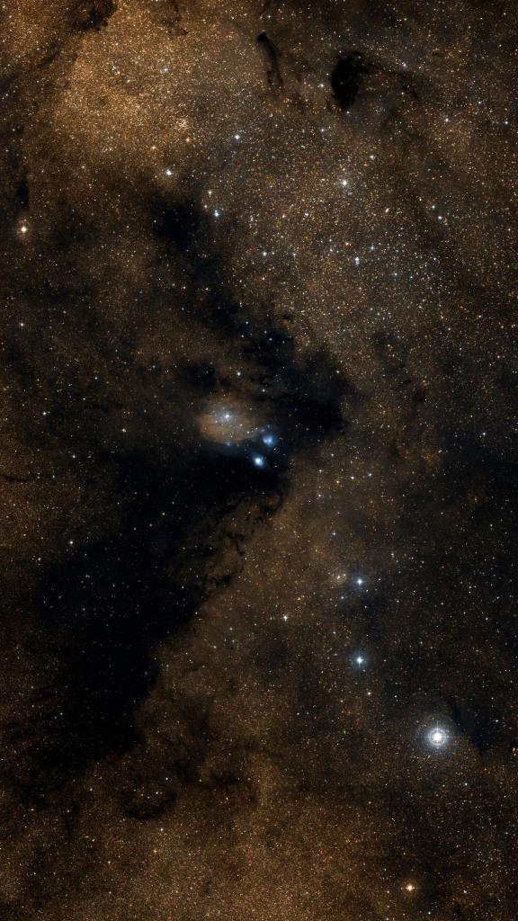 Le ciel autour de NGC 6590, cadré au champ de Seestar S30 Pro
