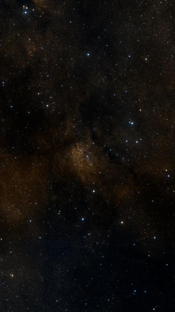 Le ciel autour de NGC 6823, cadré au champ de Seestar S30 Pro