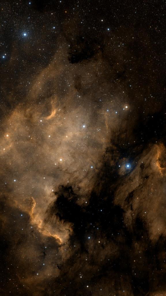 Le ciel autour de NGC 6997, cadré au champ de Seestar S30 Pro
