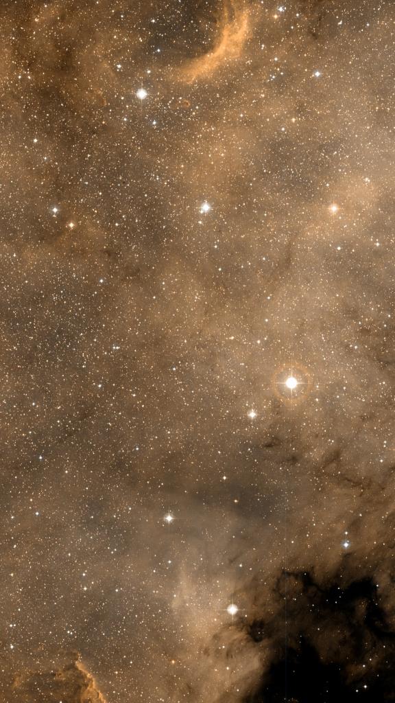 NGC 7000 cadré au champ du Seestar S50