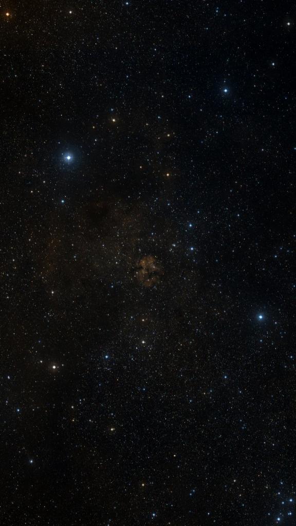 Le ciel autour de Sh2-124, cadré au champ de Seestar S30 Pro