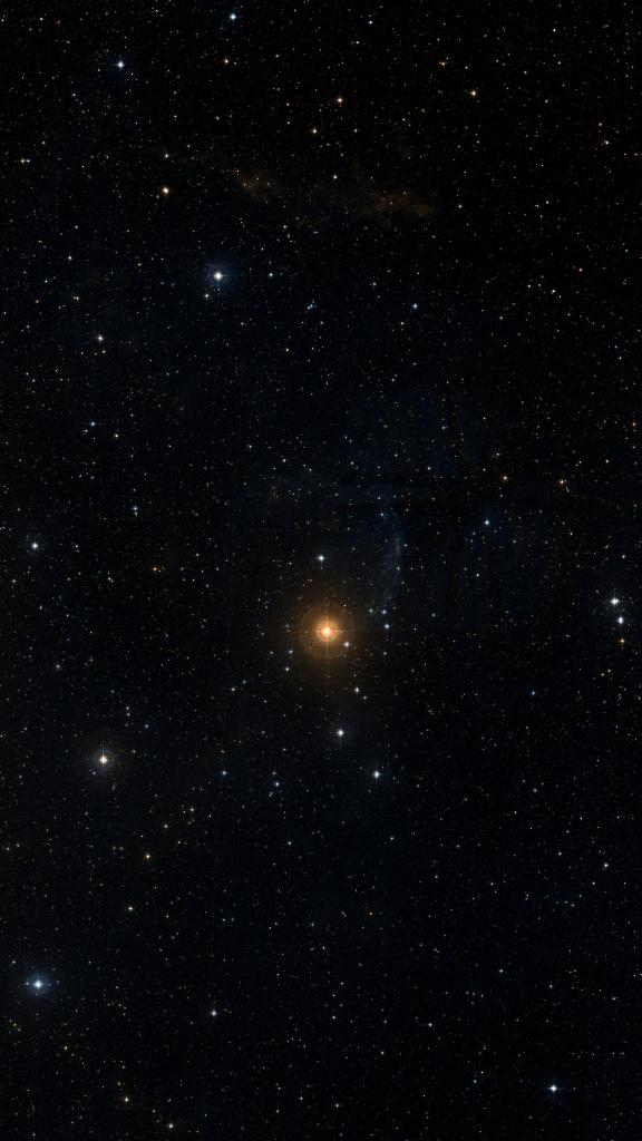 Le ciel autour de Sh2-308, cadré au champ de Seestar S30 Pro