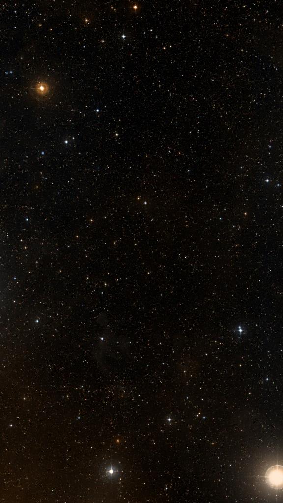Le ciel autour de Sh2-310, cadré au champ de Seestar S30 Pro