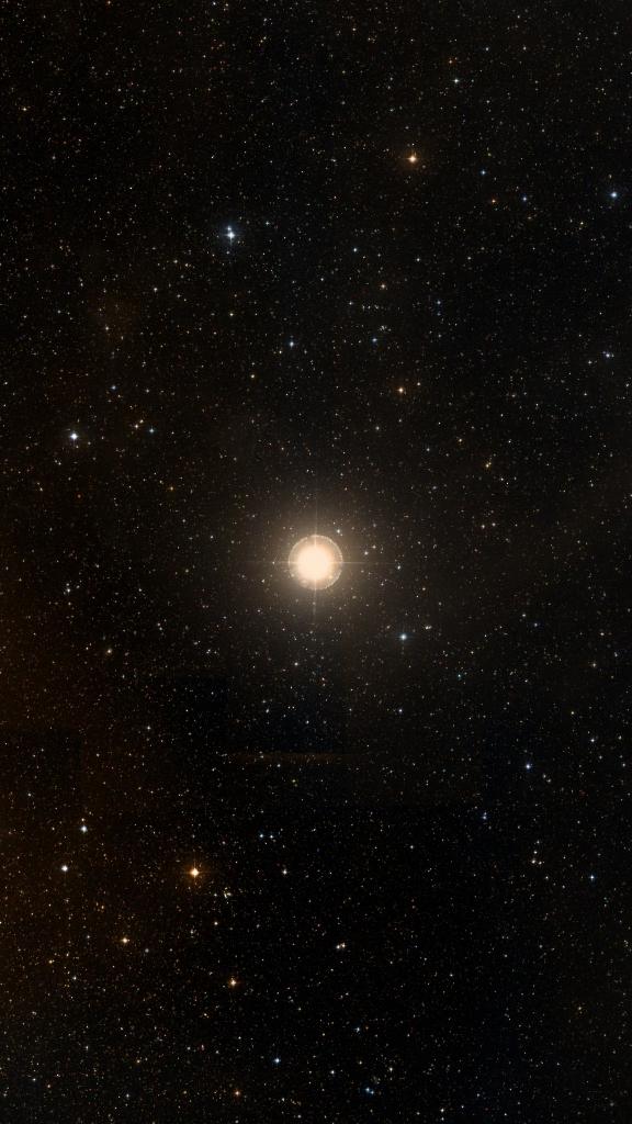 Le ciel autour de Wezen, cadré au champ de Seestar S30 Pro